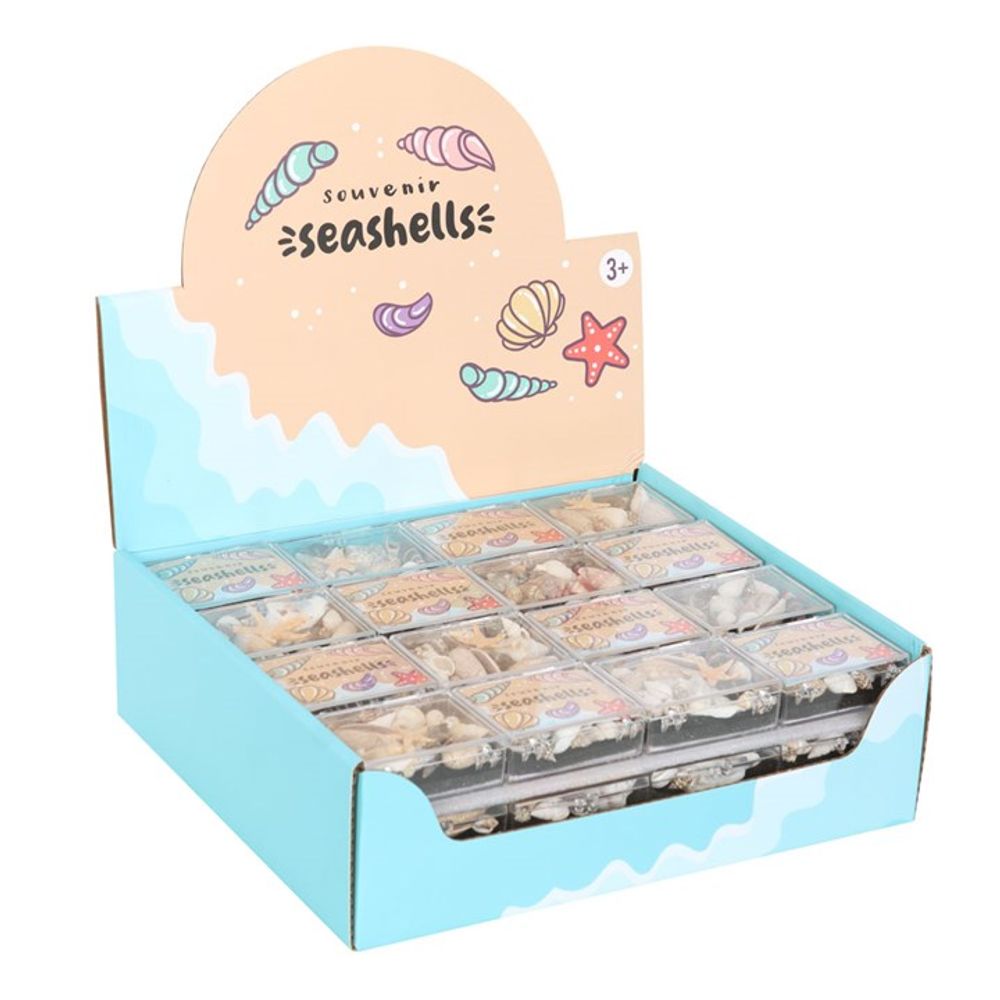 Set of 48 Souvenir Sea Shell Boxes